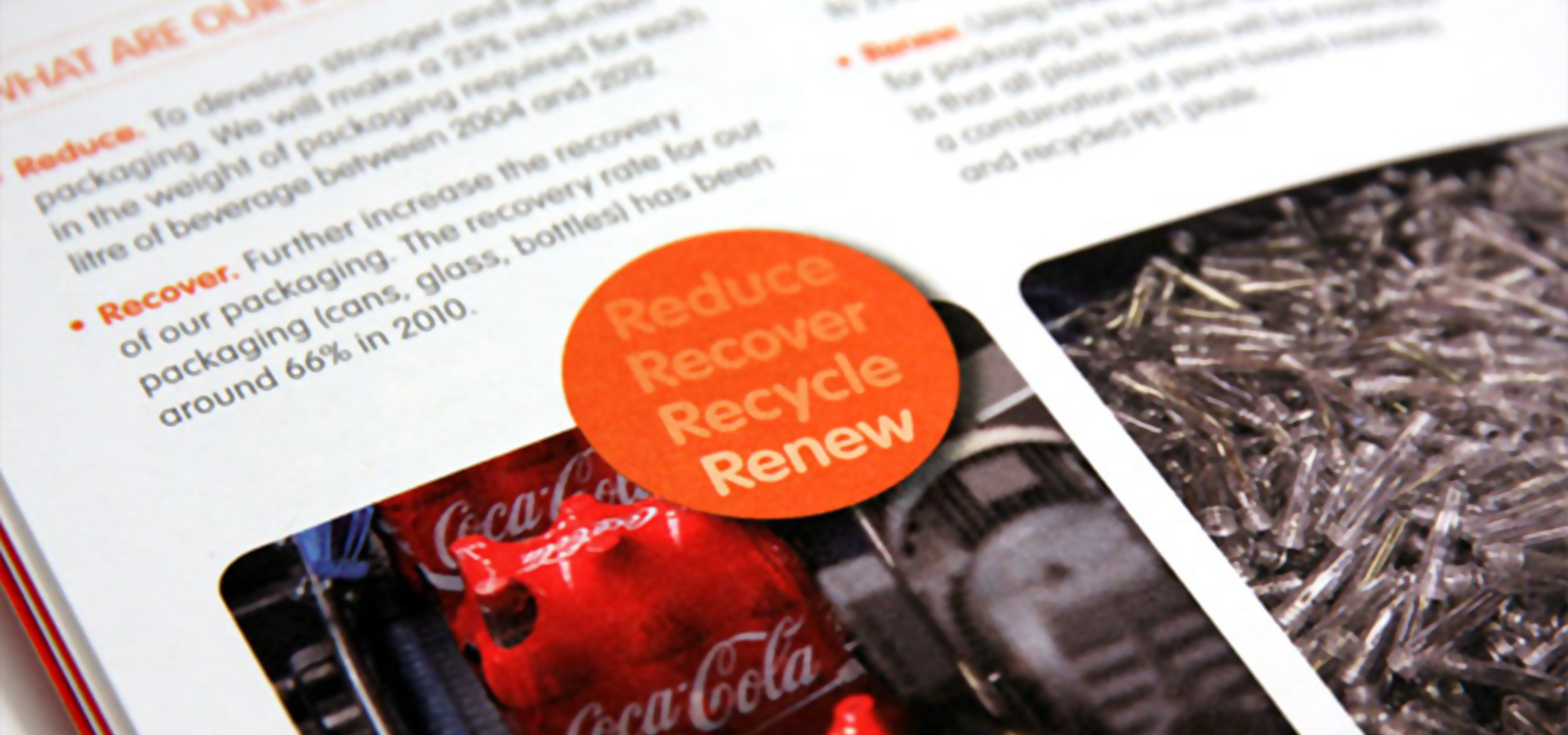 Coca Cola Environment Review