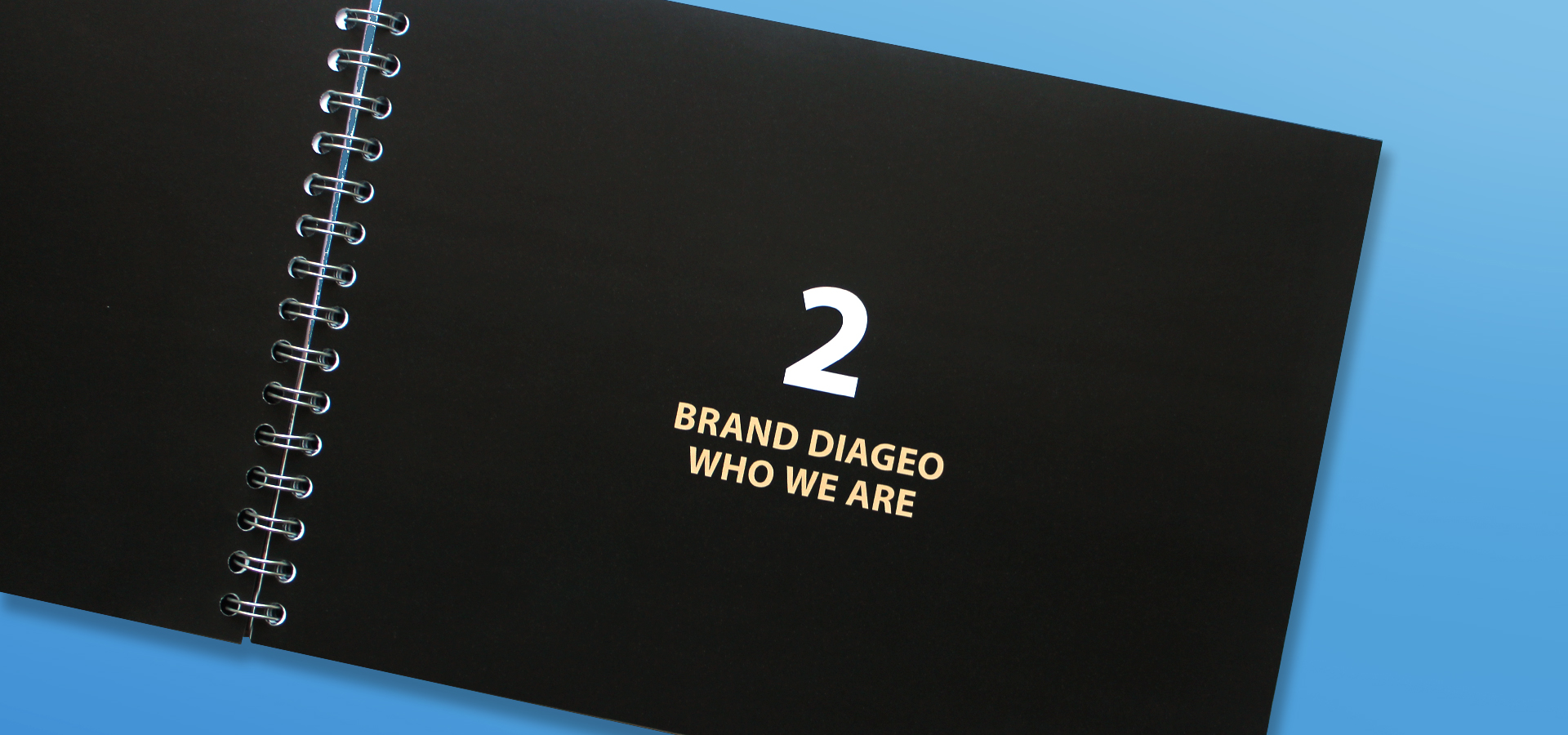 Diageo Brand Toolkit